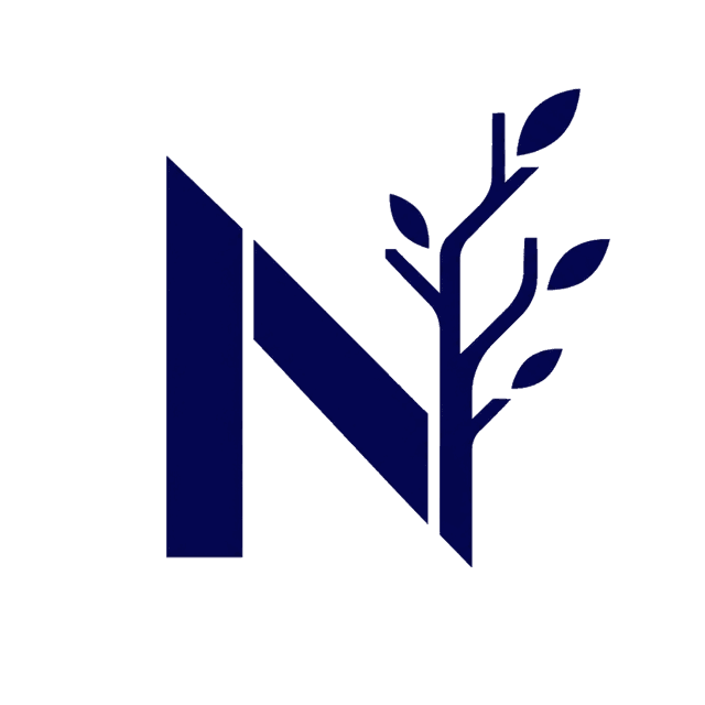 Логотип Nasab